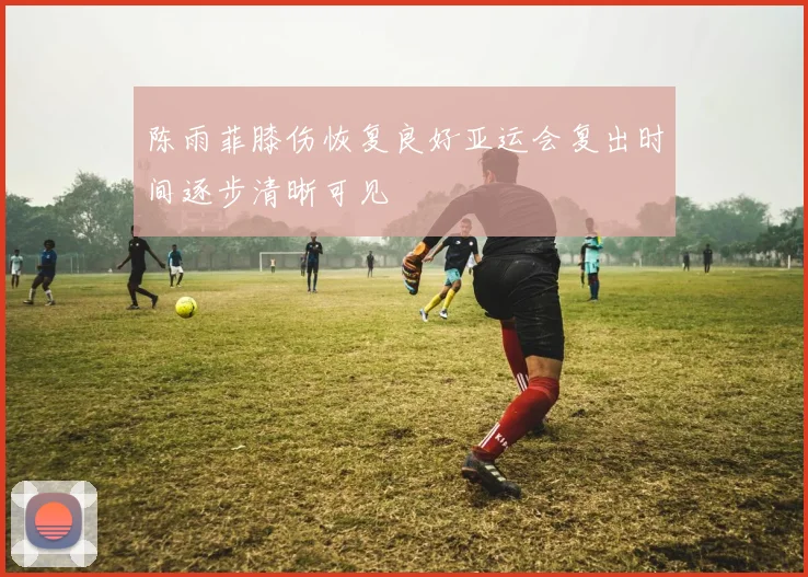陈雨菲膝伤恢复良好亚运会复出时间逐步清晰可见
